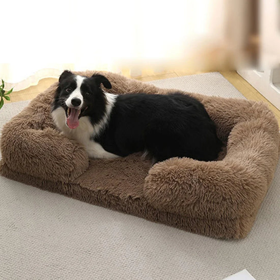 Half Surround Full Filling Medium Dog Bed