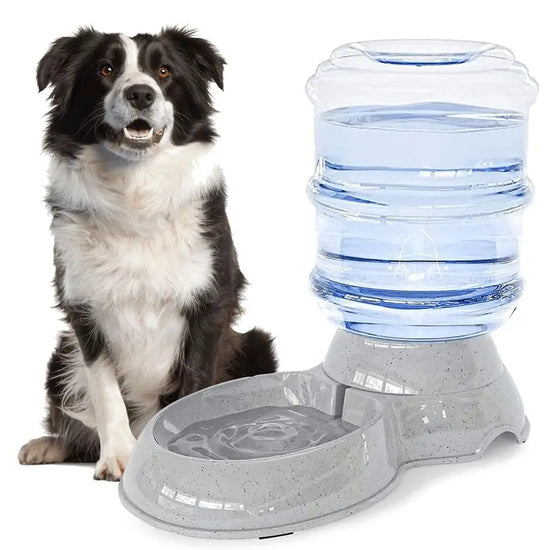 Dog Water Dispenser