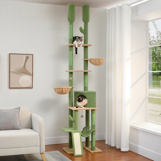 Floor to Ceiling Cat Tree for Indoors