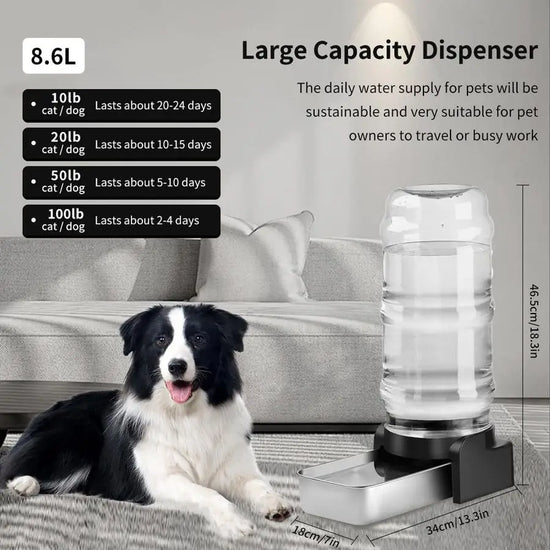 2.3 Gallon Dog Water Dispenser