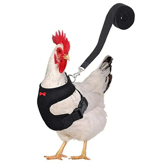 Pet Adjustable Harness Leash for Chicken  Puppy