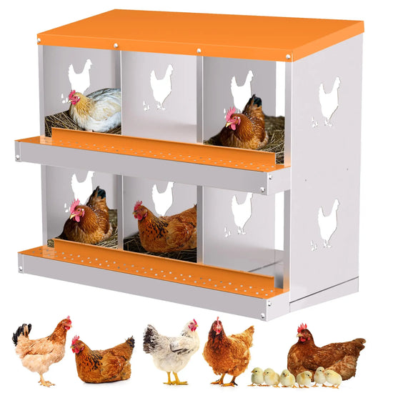 6-Compartment Chicken Nesting Box with Removable Tray