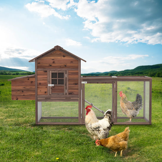 Chicken Coop for 5 Chickens