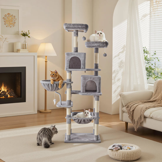 MCQ 71IN Cat Climbing Tower