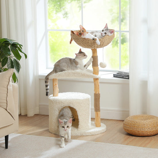 Modern Cat Tree Tower with Natural Solid Wood Scratching Posts