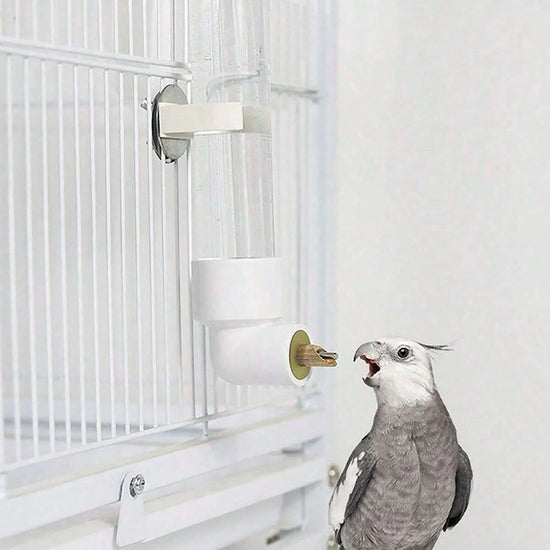 1pc-Bird automatic water dispenser