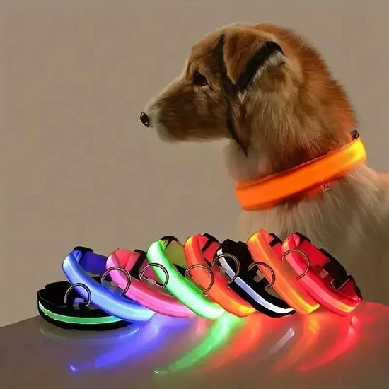 Light Up LED Pet Dog Collar