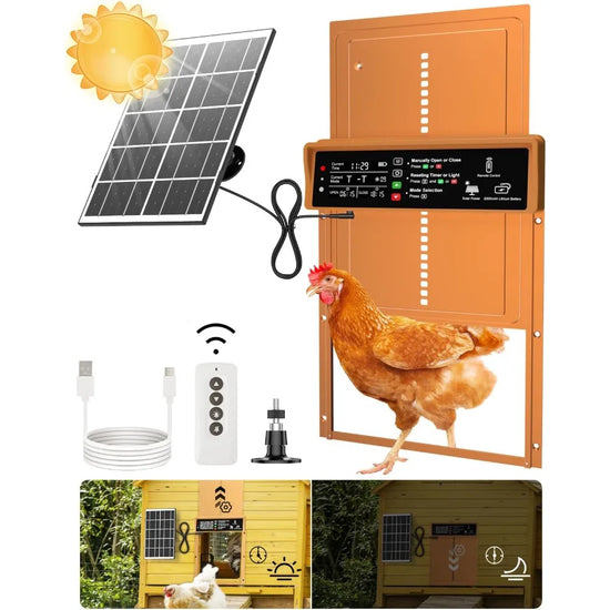HOME - Automatic Chicken Coop Door