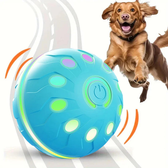 Pet Play Toy Ball