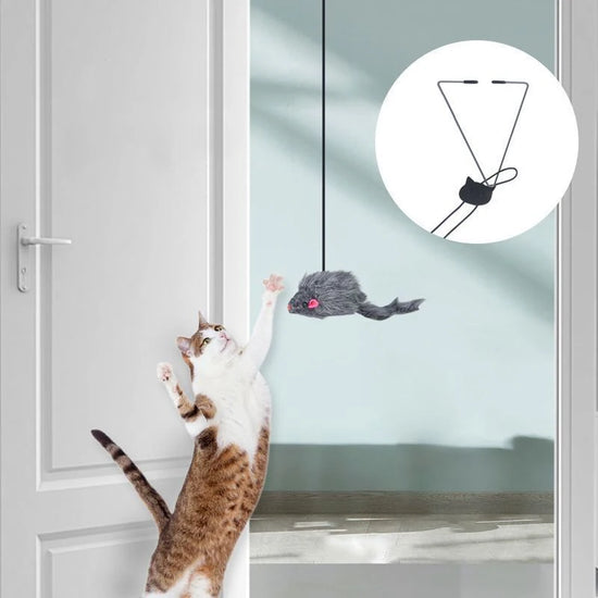 New Door Hanging Cat Toy