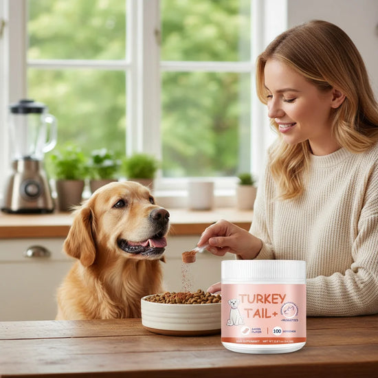 1/2/3PCS Bacon Taste Pet Mushroom Powder