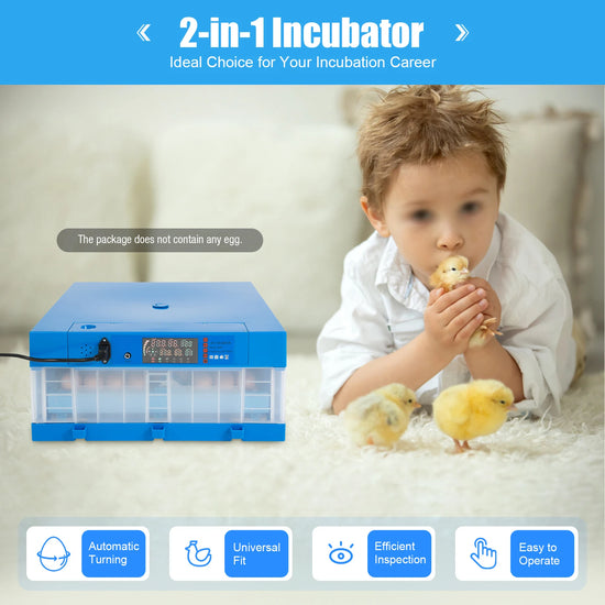 80W Fully Automatic Egg Incubator