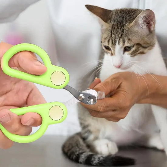 Cat Nail Clippers