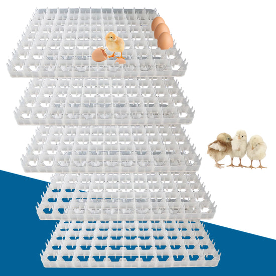 LOYALHEARTDY 5pcs 440 Quail Egg Turning Tray