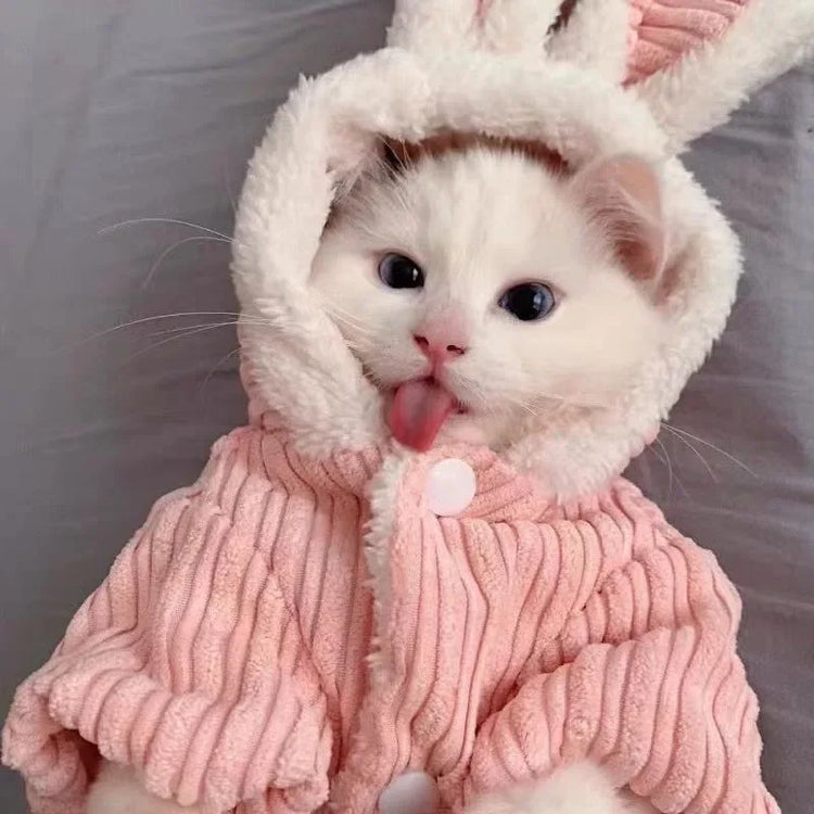 Clothing and Jackets