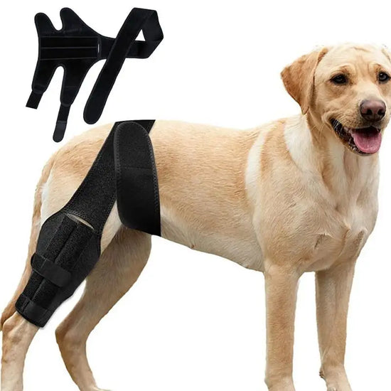 Dog Knee Protector Adjustable