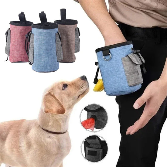 Pet Training Waist Bag