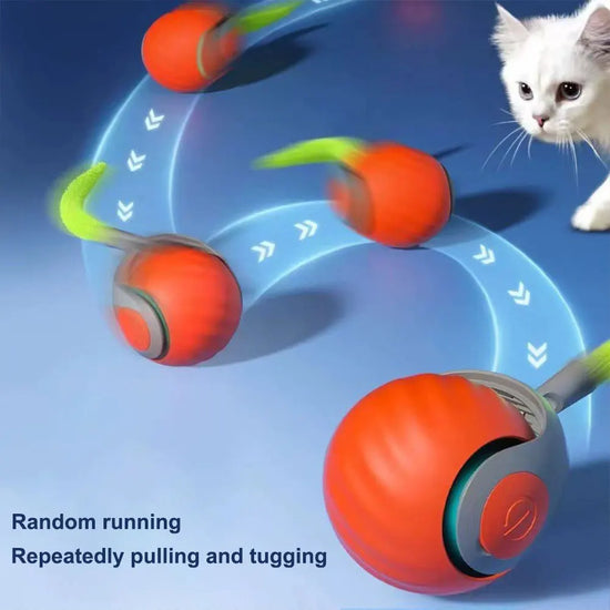 Smart Dog//Cat Toy Ball