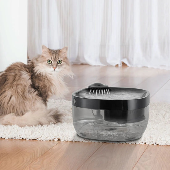 7L Pet Water Fountain with Pump & Filter