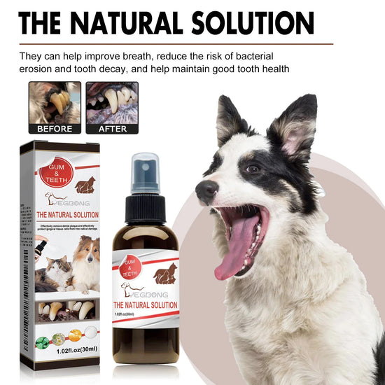 Pet Teeth Cleaning Spray