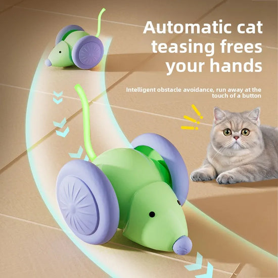Smart Electric Mouse Car Cat Toy