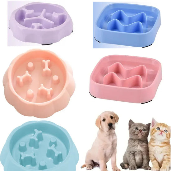 Color Slow Feeder Cat/Dog Bowl
