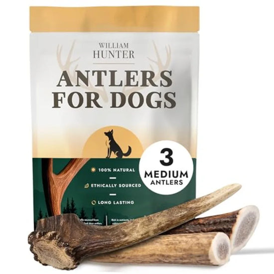 Naturally Shed Deer Antler for Dogs