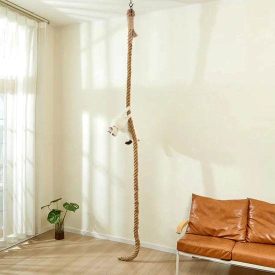 Cat Sisal Climbing Rope