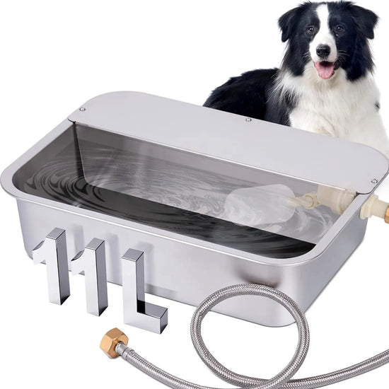 Automatic Water Dispenser for Dogs