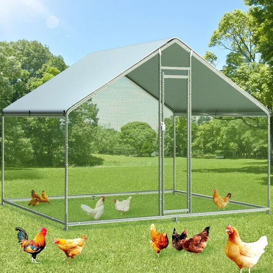 Large Metal Chicken Coop Run for 6/8/10 Chickens