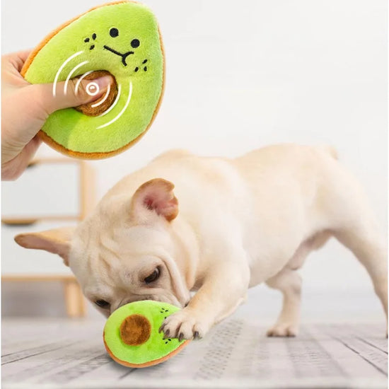 1PC Pet Plush Toy Avocado Kiwi