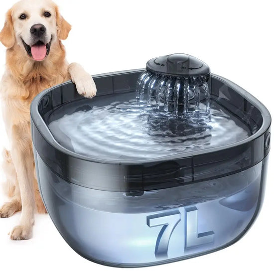 1.8Gal Dog Water Fountain for Large Dog