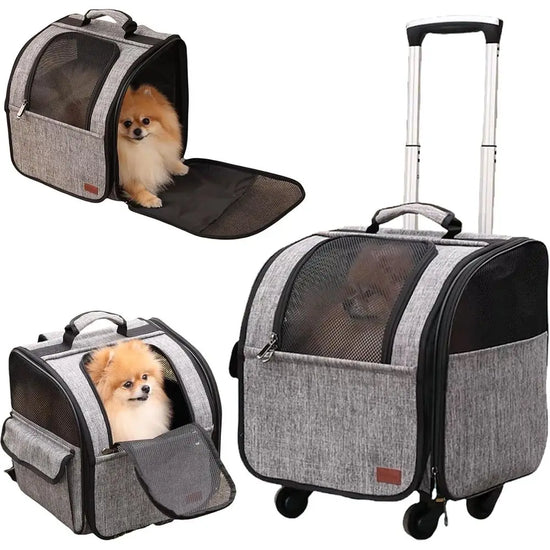 Pet Mobility Stroller