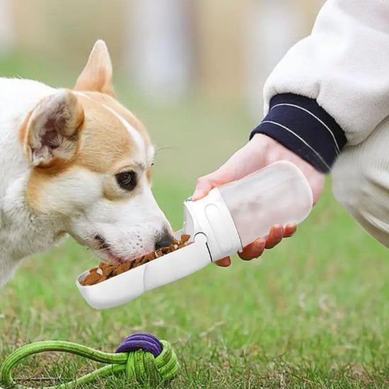 Dog Water Bottle with Food Container