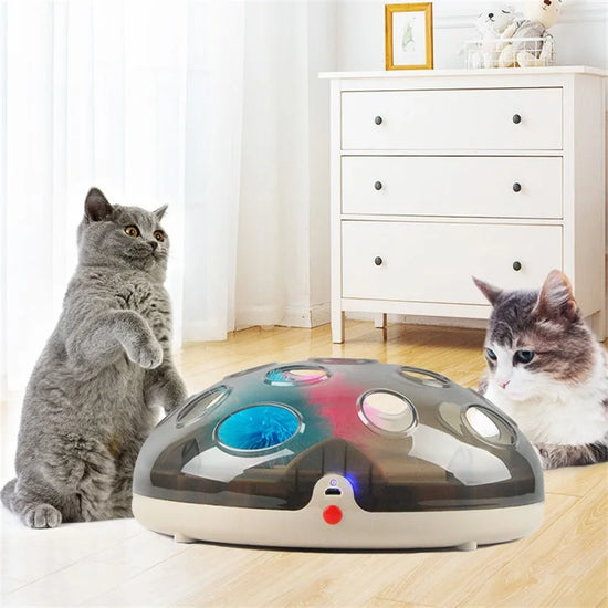 Electric Cat Toy Turntable