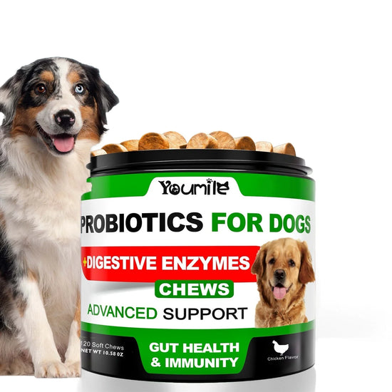 120 Chews - Probiotics for Dogs