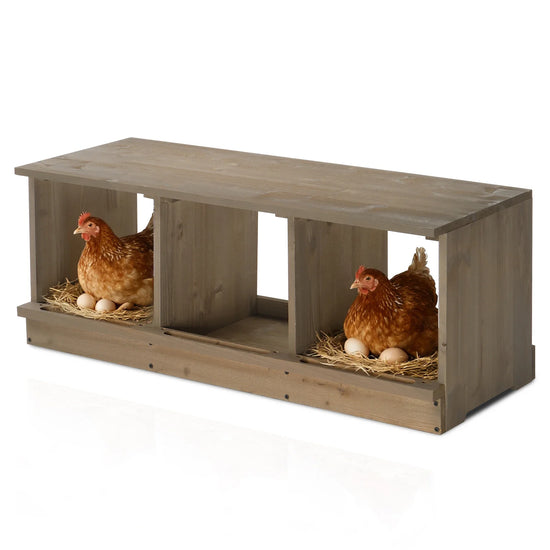 Nesting Boxes for Chickens