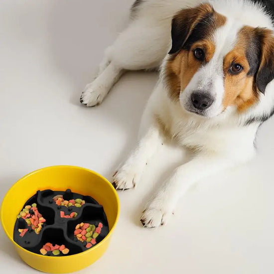 Dog Lick Mats